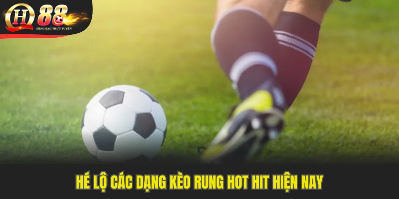 Hé lộ các dạng kèo rung hot hit hiện nay